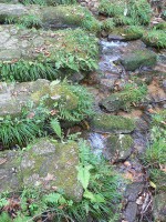 苔むした石の隙間を水が流れます。
