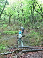 清流沿いに、森の学校の坂田さんの案内で登っていきます。